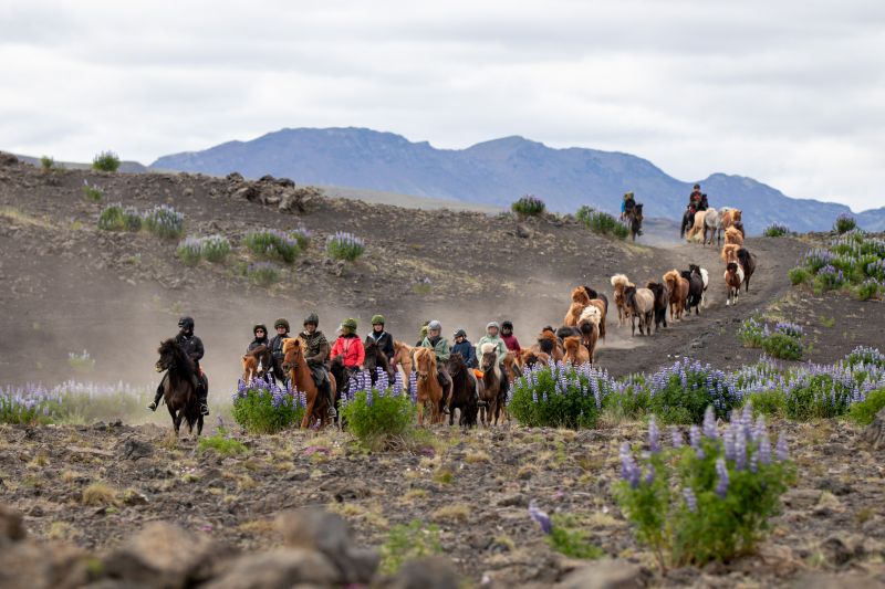 South Iceland Ride - la randonnée classique
