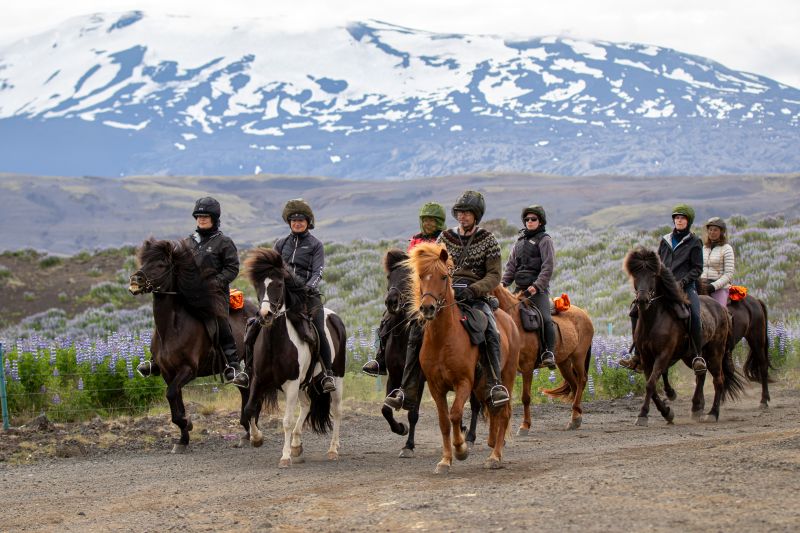 South Iceland Ride - la randonnée classique