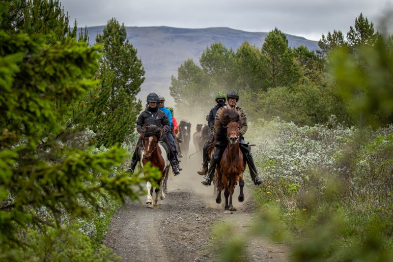South Iceland Ride - la randonnée classique