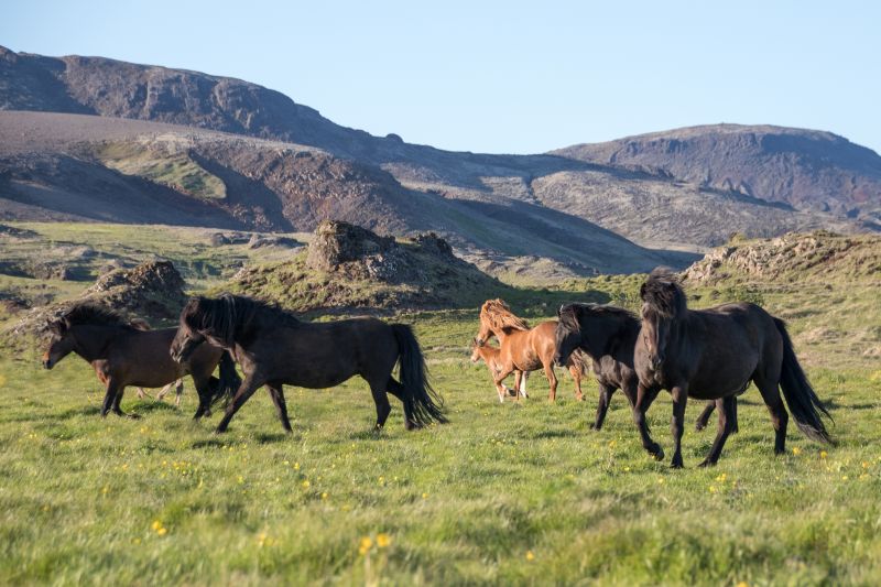 South Iceland Ride - la randonnée classique