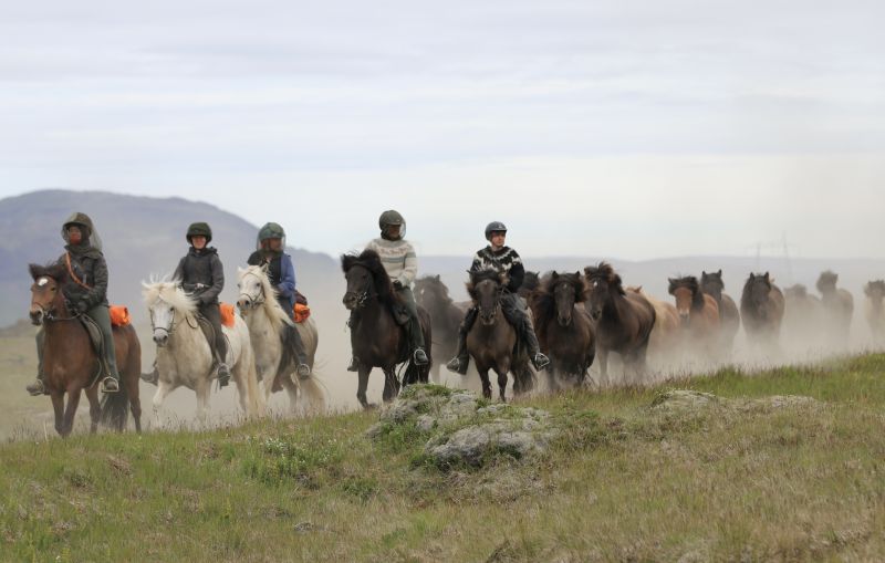 South Iceland Ride - la randonnée classique