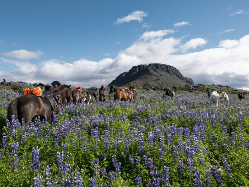 South Iceland Ride - la randonnée classique