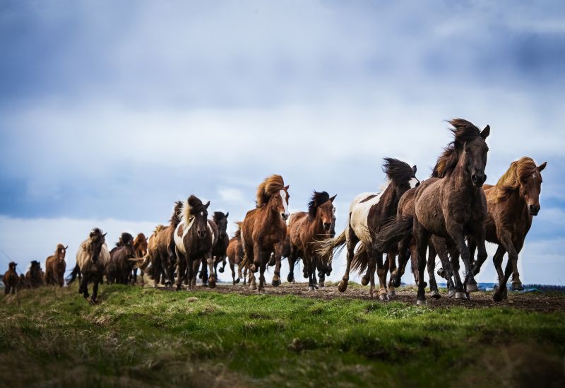 South Iceland Ride - la randonnée classique
