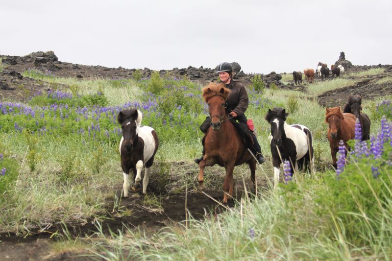 South Iceland Ride - la randonnée classique
