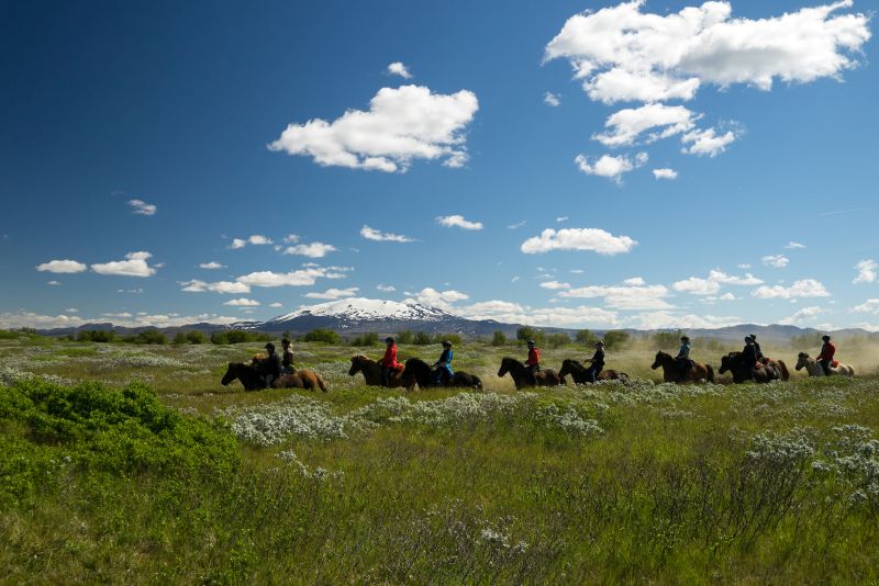 South Iceland Ride - la randonnée classique