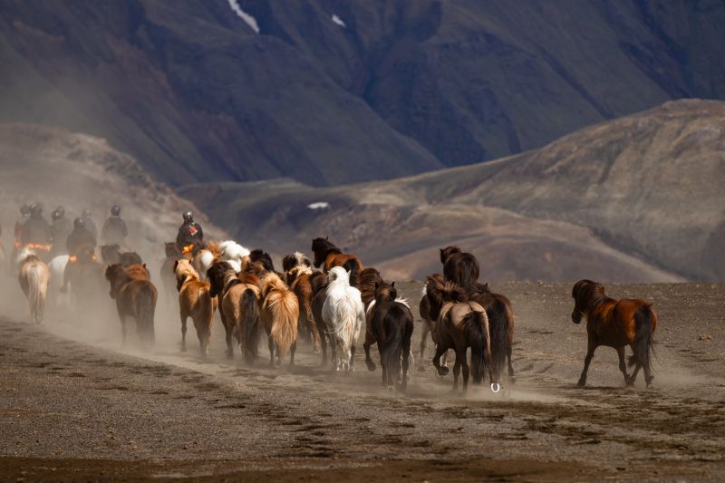 Balade à Landmannalaugar