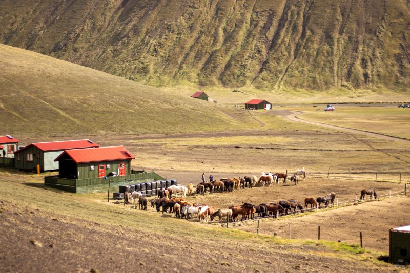Balade à Landmannalaugar