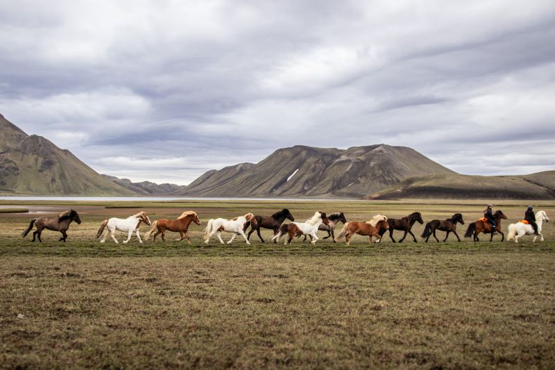 Balade à Landmannalaugar