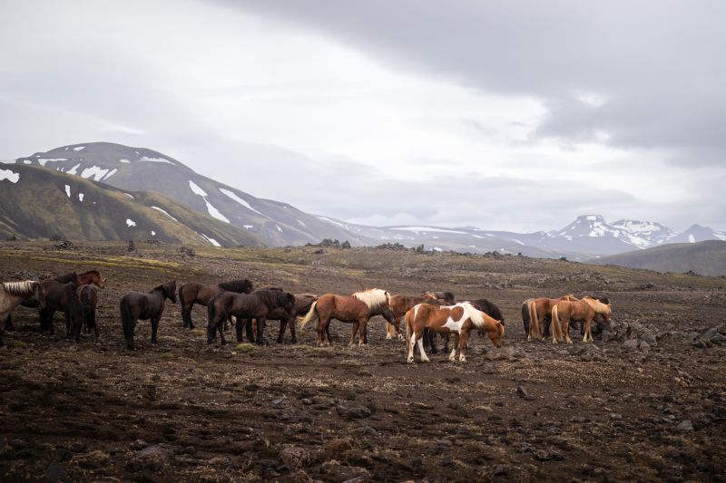 Balade à Landmannalaugar