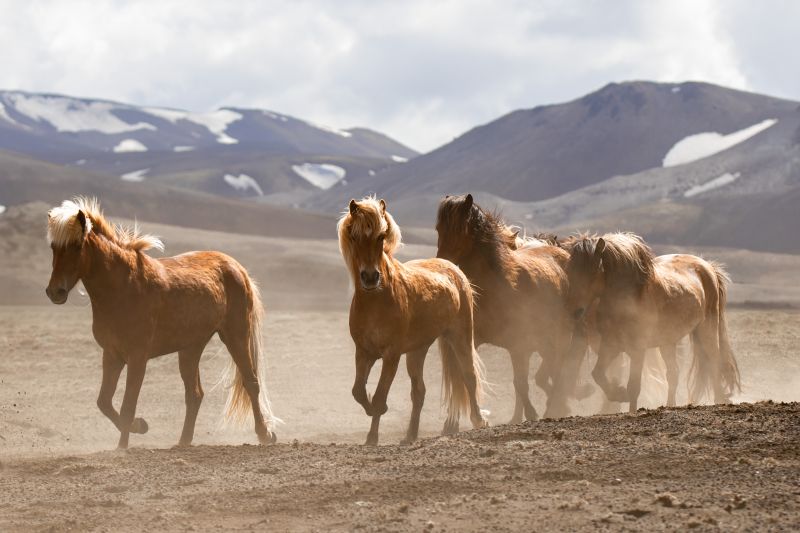 Balade à Landmannalaugar