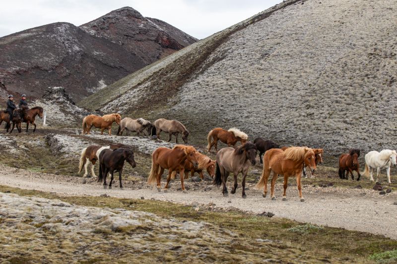Balade à Landmannalaugar