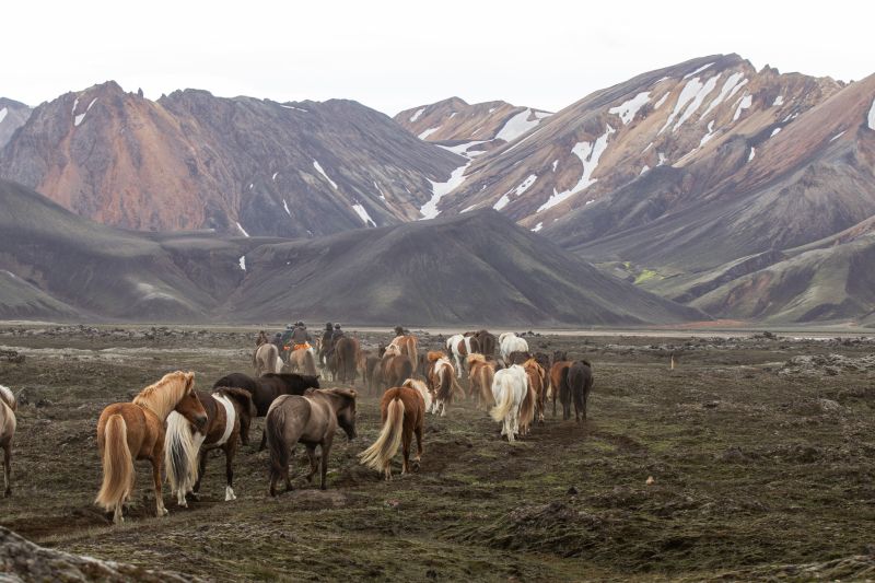 Balade à Landmannalaugar
