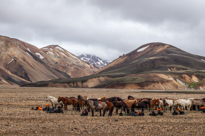 Balade à Landmannalaugar