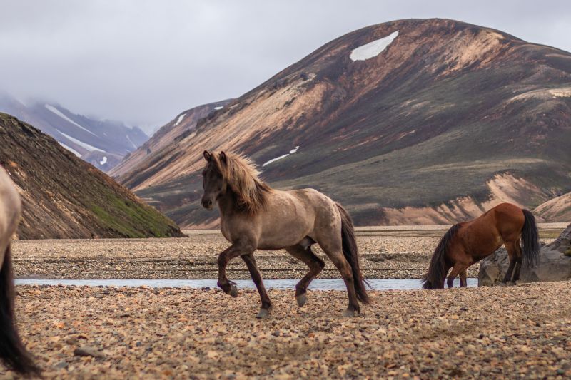 Balade à Landmannalaugar