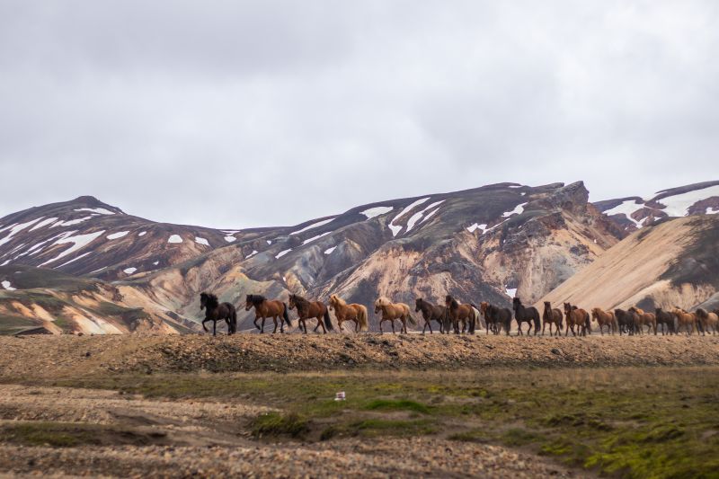 Balade à Landmannalaugar