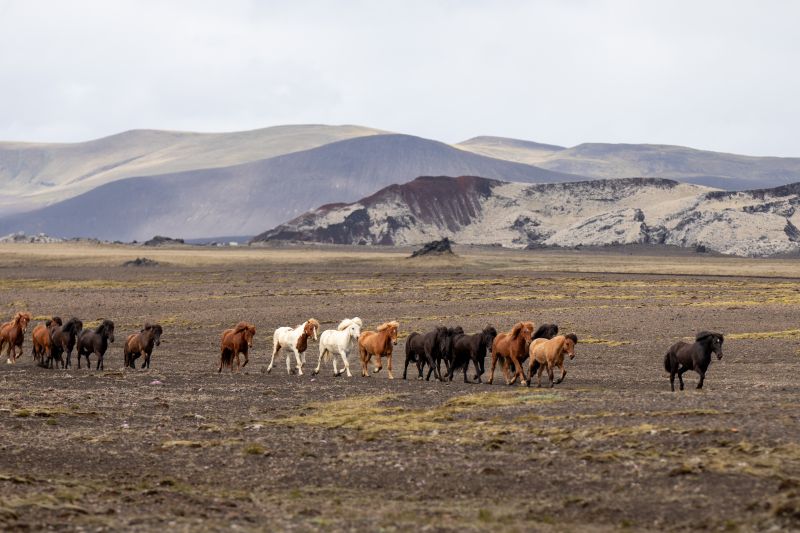Balade à Landmannalaugar