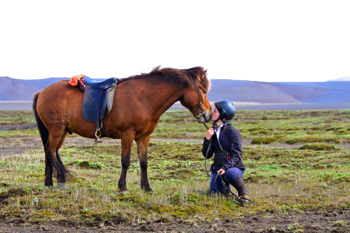 Le sud de l'Islande en exclusivit&eacute;