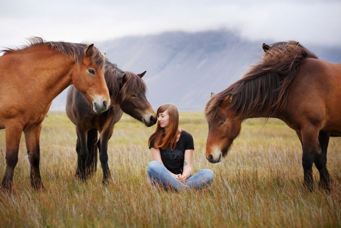 Le sud de l'Islande en exclusivit&eacute;