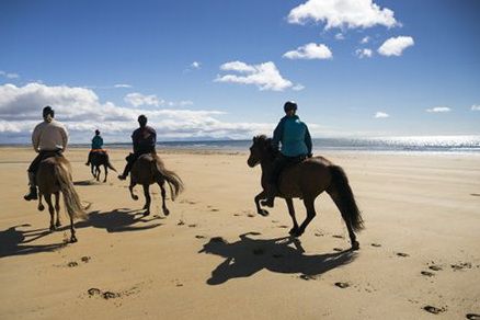 Volcan Snaefellsnes et balade sur la plage
