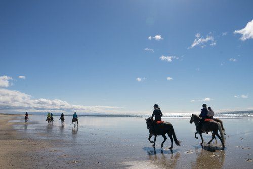 Volcan Snaefellsnes et balade sur la plage