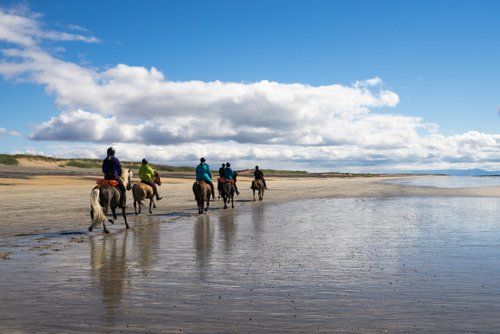 Volcan Snaefellsnes et balade sur la plage