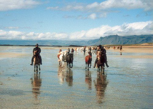 Volcan Snaefellsnes et balade sur la plage