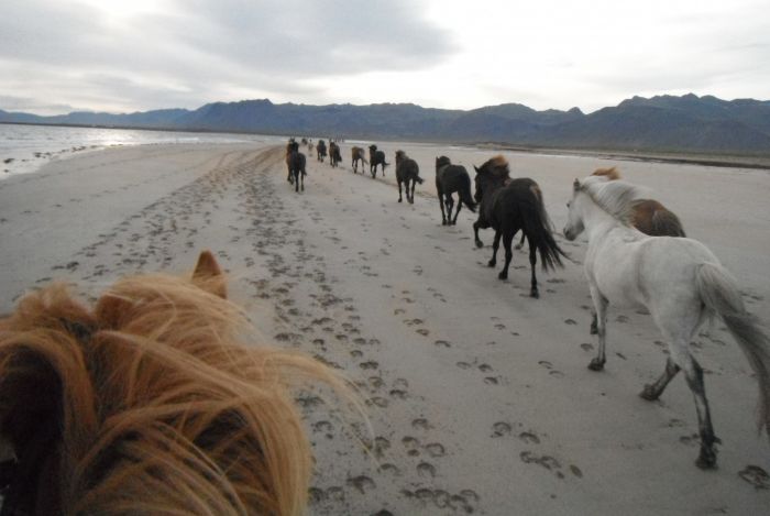 Volcan Snaefellsnes et balade sur la plage