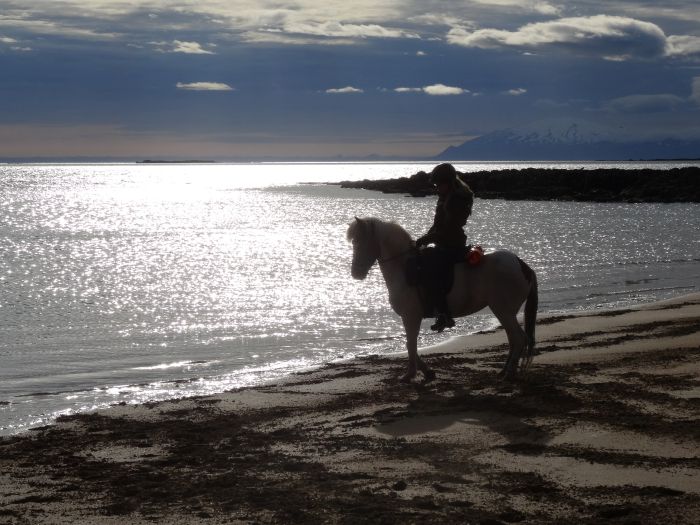 Volcan Snaefellsnes et balade sur la plage