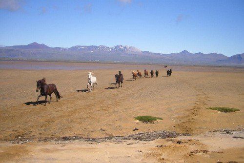 Volcan Snaefellsnes et balade sur la plage
