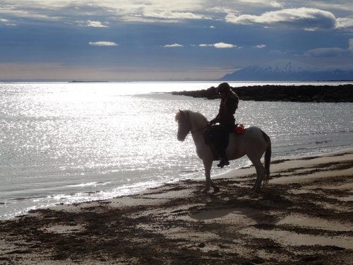 Volcan Snaefellsnes et balade sur la plage