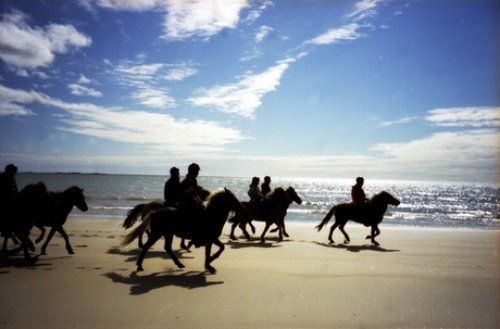 Volcan Snaefellsnes et balade sur la plage