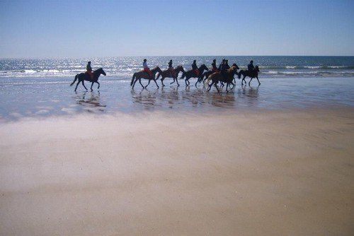 Volcan Snaefellsnes et balade sur la plage