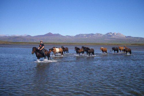 Volcan Snaefellsnes et balade sur la plage