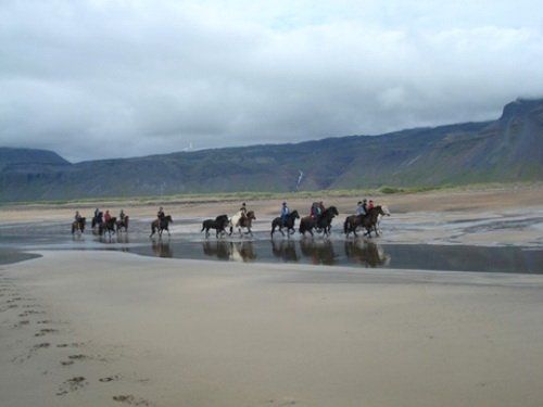 Volcan Snaefellsnes et balade sur la plage