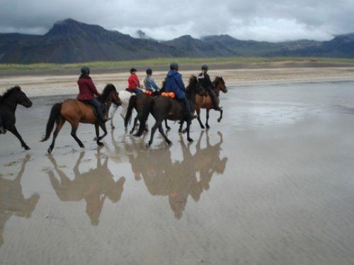 Volcan Snaefellsnes et balade sur la plage