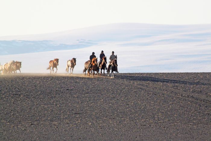 Chevaucher sur le Sprengisandur