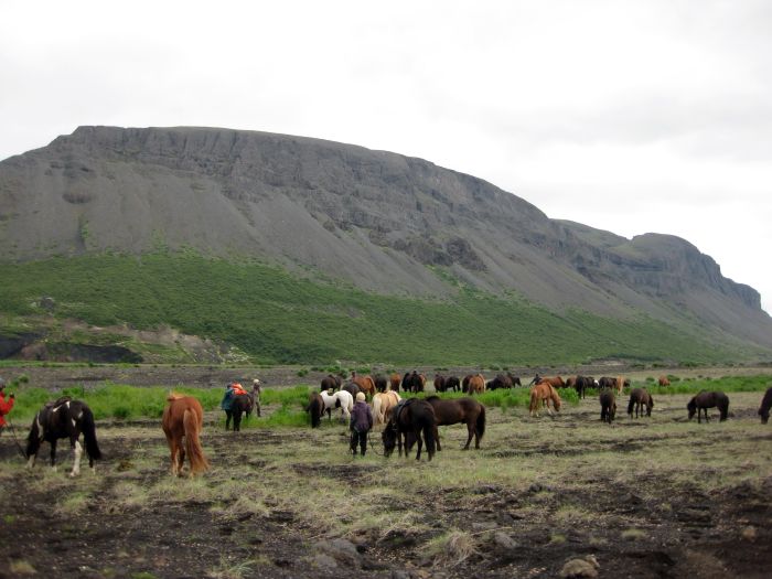Chevaucher sur le Sprengisandur