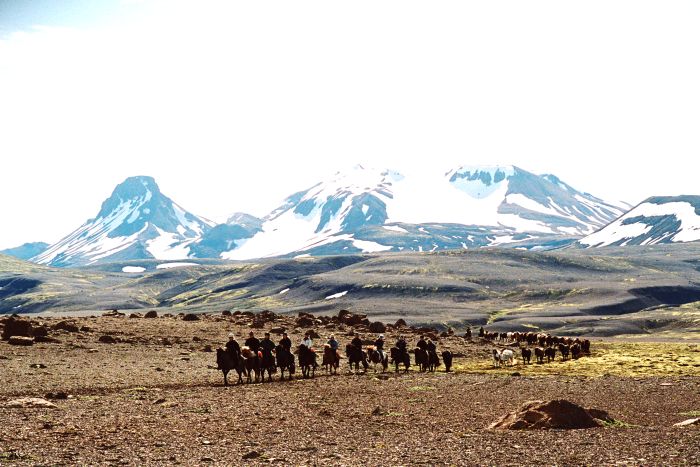 Chevaucher sur le Sprengisandur