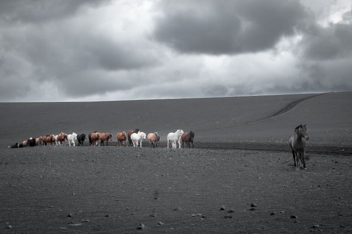 Chevaucher sur le Sprengisandur