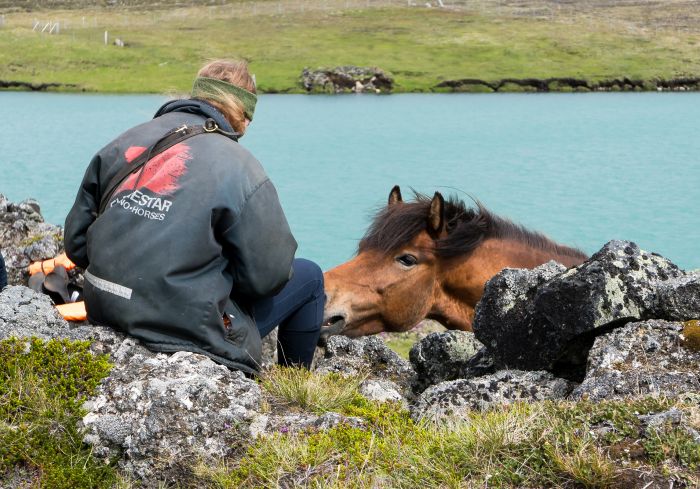 Chevaucher sur le Sprengisandur
