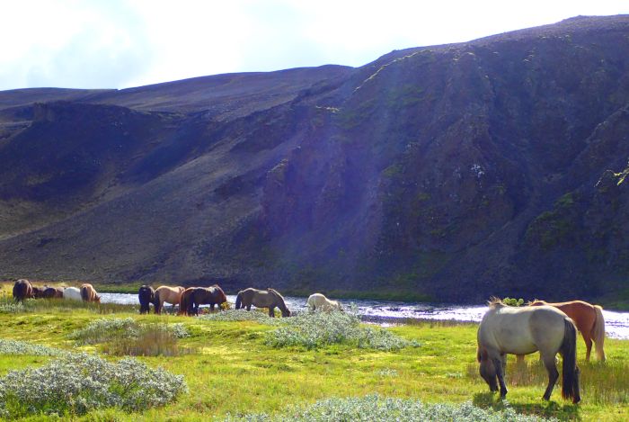 Chevaucher sur le Sprengisandur