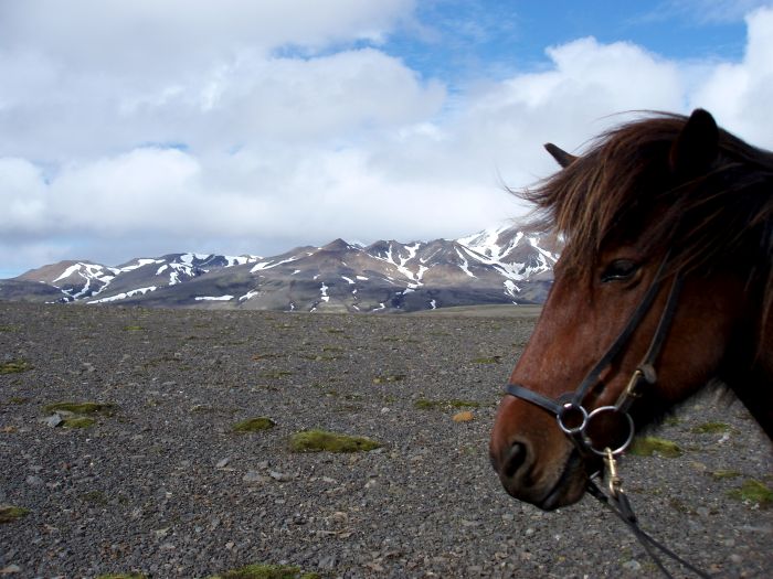Chevaucher sur le Sprengisandur