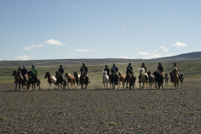 Chevaucher sur le Sprengisandur