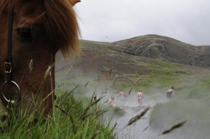 Randonnée en Thingvellir