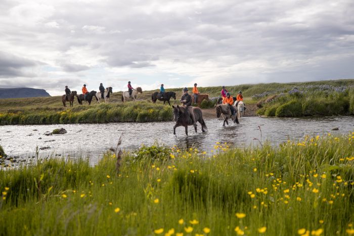 Randonnée en Thingvellir