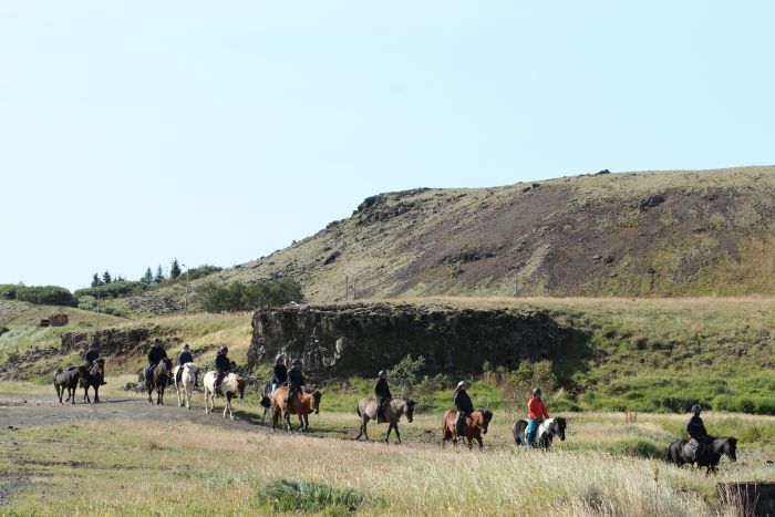 Randonnée en Thingvellir