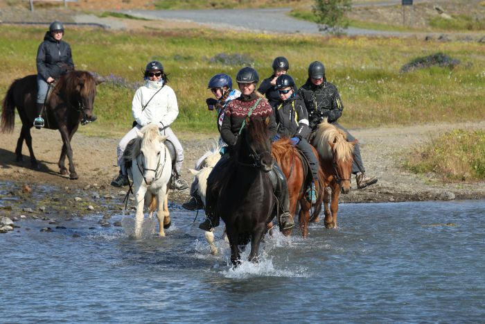 Randonnée en Thingvellir