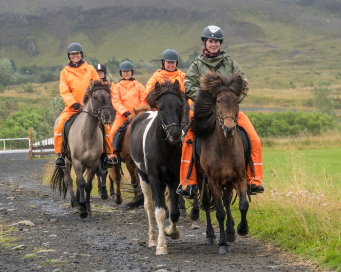 Randonnée en Thingvellir