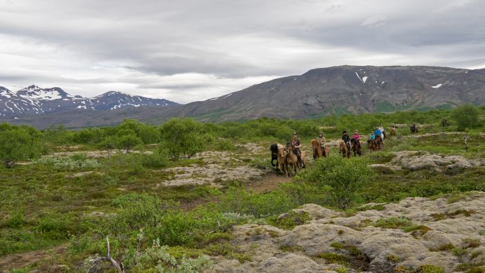 Randonnée en Thingvellir