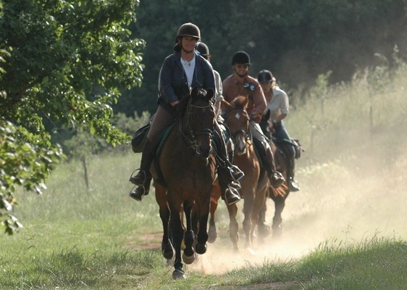 Châteaux du Chianti et promenades à cheval sur le thème du vin